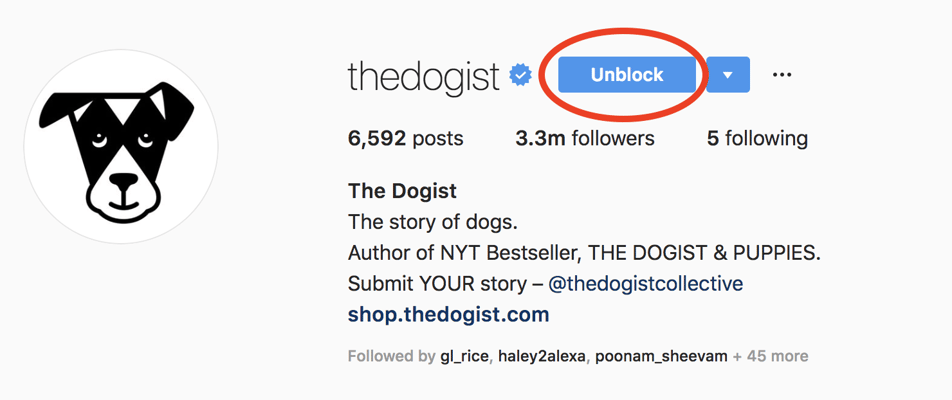 instagram block - regex instagram followers